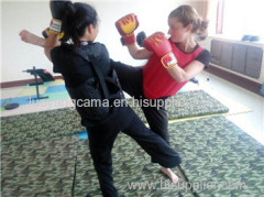 how to study/learn china/chinese Sanda fist in china Sanda school Sanda academy