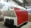 Wood Fired steam boiler