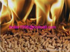 Biomass fired steam boiler