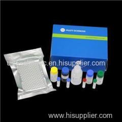 Human FGF-19 ELISA Kit Plate