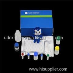 Human DPPIV/CD26 ELISA Kit For Competitive ELISA Assay