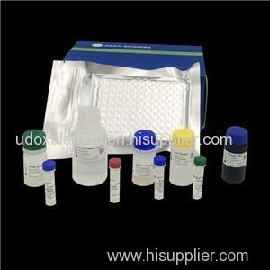 Rat IL-10 Protein A ELISA Kit