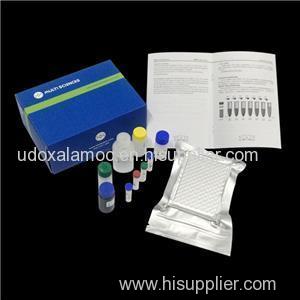 Rat GM-CSF ELISA For Protein Quantification