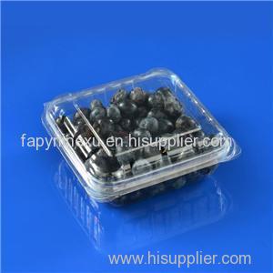 125g Blueberry Clamshell Box With Ventilation Holes