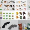 2017 Various High Quality Butterfly/Spider/Frogs/snake/fish Pet Toy
