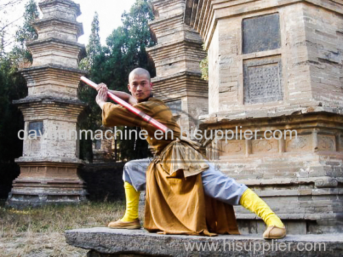 Shaolin Kung Fu Schools in China