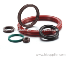 Custom Oil Seal/Rubber Oil Seal/China Oil Seal Supplier