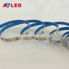 Best selling white color DC12V SMD 2835 72leds 