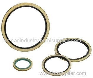 Bonded Seals with Carbon Steel