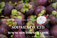 Fresh Mangosteen from Viet Nam