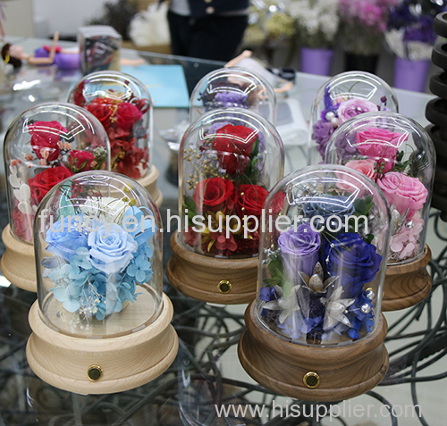 preserved flowers rose in glass dome