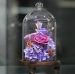 preserved flowers rose in glass dome