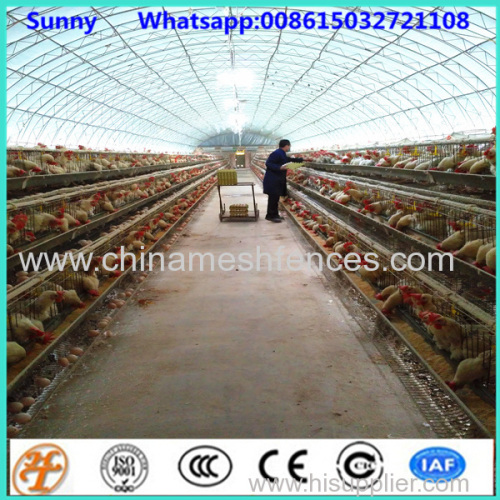 export Kenya galvanized chicken cages chicken farm hot sale A Type layer poultry battery cages