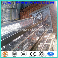 export Kenya galvanized chicken cages chicken farm hot sale A Type layer poultry battery cages