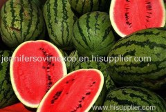 Fresh Watermelon For Sale - Fresh Type Watermelon