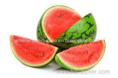 Fresh Watermelon For Sale - Fresh Type Watermelon