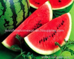 Fresh Watermelon For Sale - Fresh Type Watermelon