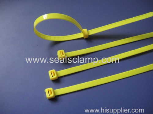 Plastic Nylon cable ties