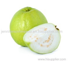 Fresh Guava - Fresh Guava Fruit