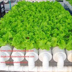 PVC Pipe with Holes Used for Fruits and Vegetables infoatwanyoumaterial.com