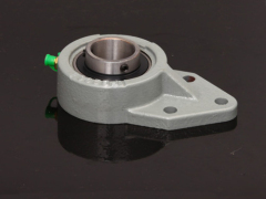 Bearing housing and Pillow block bearing