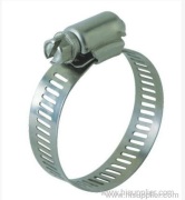 Hose Clamps can be used in place of T-Bolt clamps.