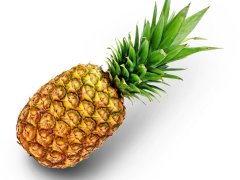 Fresh Pineapples - Pineapple Fruit High Quality