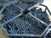 Charcoal Briquettes full oak