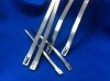 Nakde stainless steel cable tie