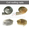 Roofing coil nail wire coil nail