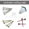 umbrella head roofing nails