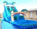 tropical water slide for sale