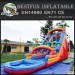 Inflatable Tropical Palm Slide with Pool