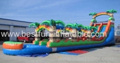 Dual long tropical inflatable water slide