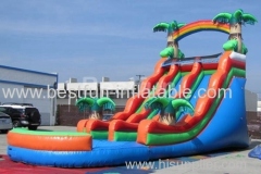 dual tropical inflatable wet slide