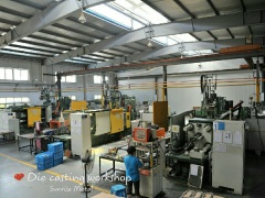 Chinese professional die casting mold