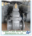 jis marine gate valve