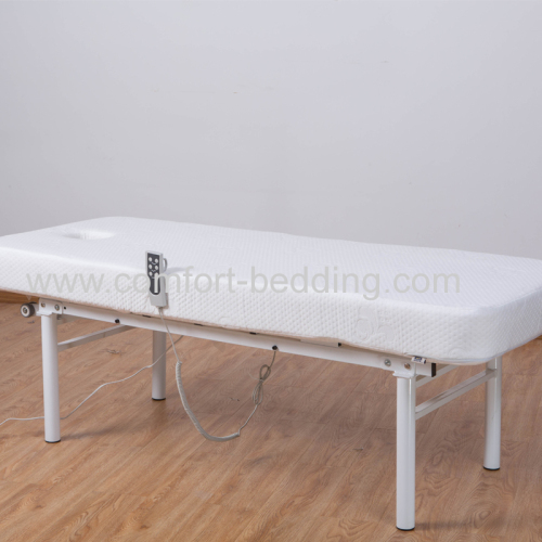 Comfortable Electric Bed Adjustable Bed Beauty Bed