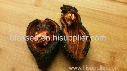 Dried Sea Cucumber -Cucumaria Frondosa