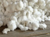 %100 Raw Cotton for Sale