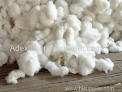 %100 Raw Cotton for Sale