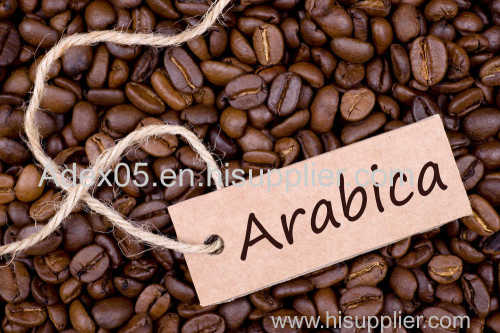 Arabica Coffee Beans For Sale