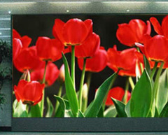 p1.25 Fine Pixel Pitch LED Display