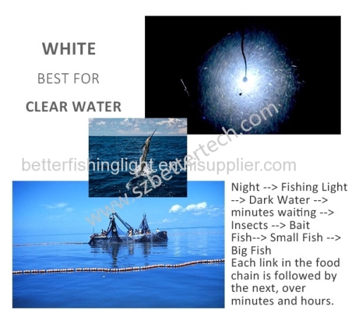 Deep Drop Sea 316-Stainless Steel Aluminum Boat Fishing Light Led