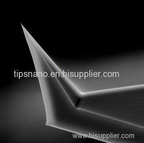 Tunneling Microscopy (STM) Surface Potential Microscopy (SPoM) Tunneling AFM (TUNA) Tip Enhanced Raman Spectroscopy