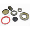 Food Grade Oil Seal Va Silicone NBR Oil Seal