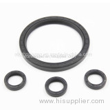 Resistance to High Temperature Sb Viton Oil Seal