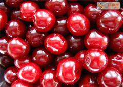 Fresh Canned Organic Sweet Cherries Fruit With Heavy Syrup