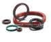 Single Lip Oil Seal FKM Sc Oil Seal