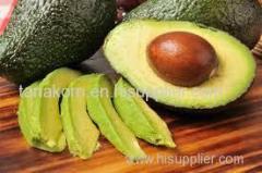 Fresh Avocado form thailand